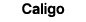 Caligo