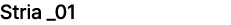 Stria _01